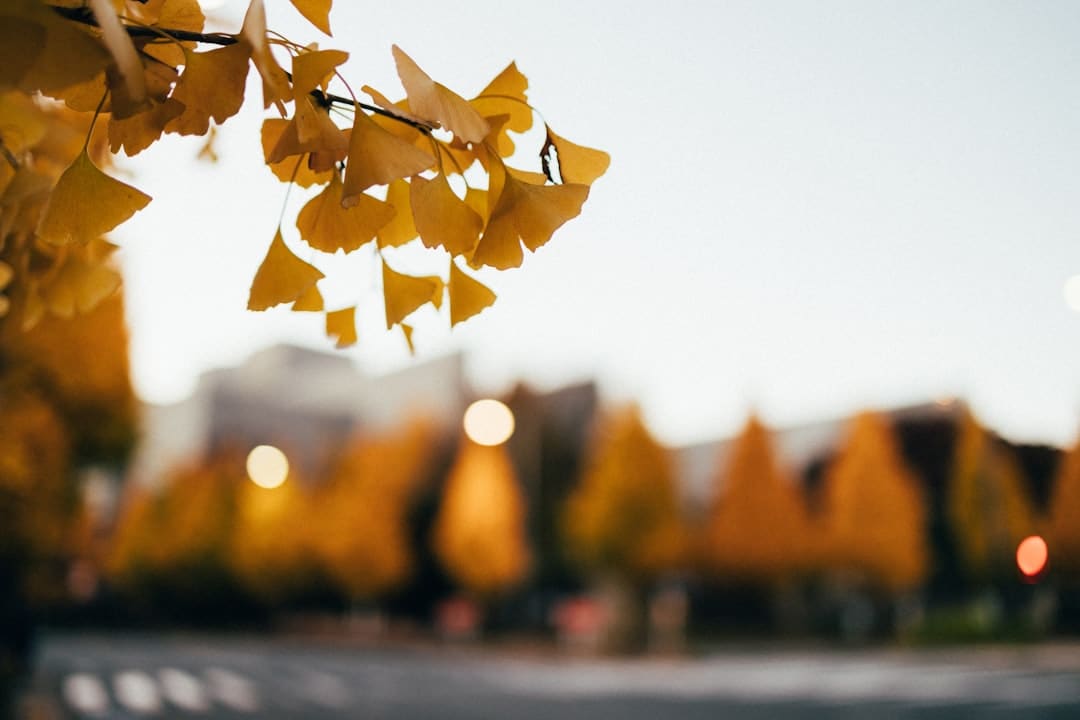 暑期“高薪兼职”圈套：从“轻松赚大钱”到沦为“电诈东西人”